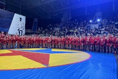 В городе на Неве состоялся Фестиваль единоборств – Турнир им. В.А. Соловьева