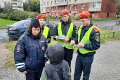 Неделя безопасности дорожного движения во Фрунзенском районе