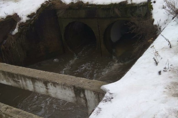 Устанавливается источник появления пены в Дудергофском канале