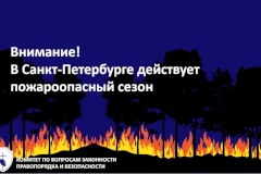 В Петербурге действует пожароопасный сезон