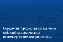 Александр Беглов: Городские субсидии поддержат инфраструктуру садоводств