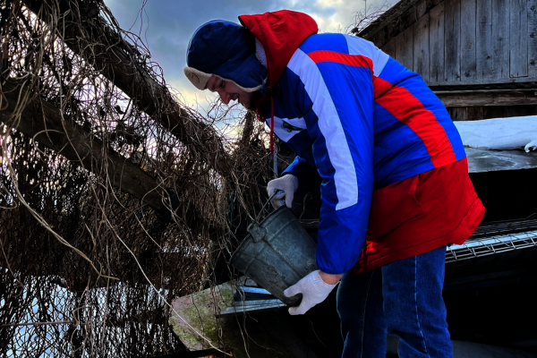 Невский десант продолжает трудится в районах Ленинградской области