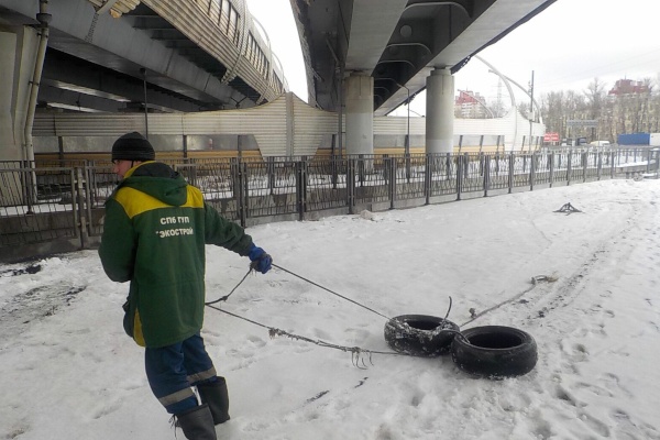 Более 500 обращений поступило в экологические службы за неделю