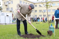 К 145-летию Городской больницы №14 возродили яблоневый сад 