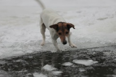 Выход на лед опасен