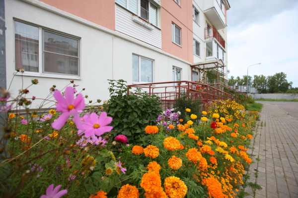 Жители навели красоту возле своих домов