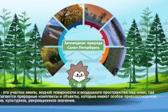 Новые экологические ролики увидят петербуржцы