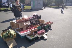 «Незаконная торговля не пройдет!»: Специалисты Комитета приступают к ежедневному патрулированию территорий у станций метро
