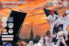 Всероссийские соревнования по всестилевому каратэ «Кубок Петра Великого»