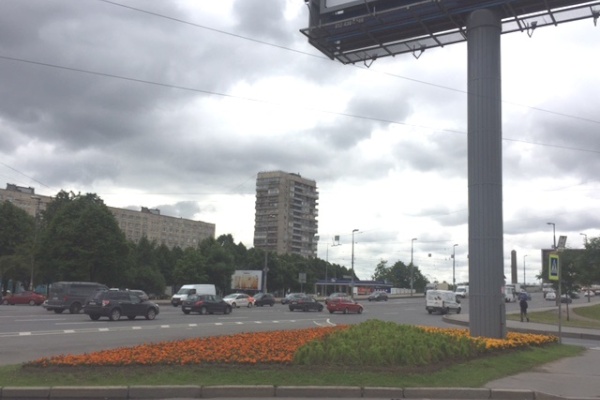 Более 180 квадратных метров газонов восстановлено в Невском районе
