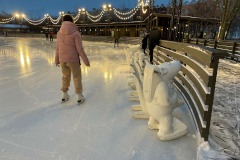 Зимние каникулы для воспитанников Центра содействия семейному воспитанию № 11