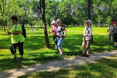 Где бесплатно заняться скандинавской ходьбой в Калининском районе?