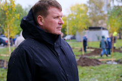 Парк Интернационалистов украсили новые берёзы
