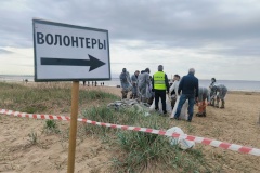 Экологические волонтёры прошли завершающий этап подготовки