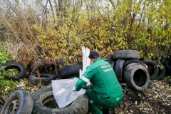 Свыше 22,1 тонны опасных отходов собрали экологические службы за неделю