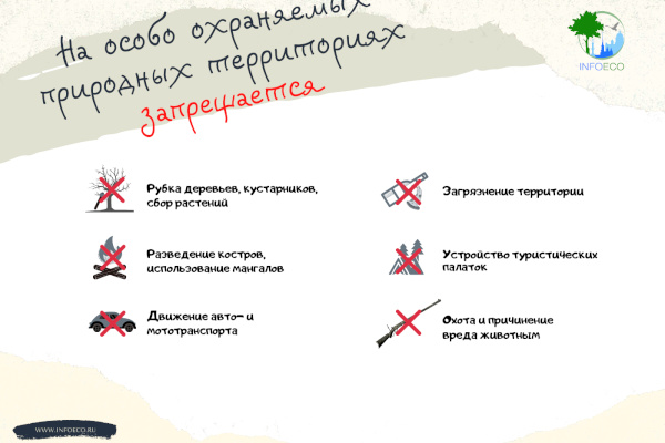 На особо охраняемых природных территориях Петербурга действует особый режим