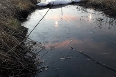 В Пушкинском районе ликвидирован нефтеразлив в дренажной канаве