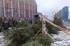 От незаконных ёлочных базаров освобождено более 300 кв. м городской земли