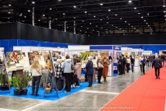 Московский район на форуме «Старшее поколение»: новые инициативы для поддержки пожилых граждан"