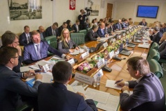 Представители Санкт‑Петербурга обсудили решение проблемы полигона «Красный Бор» в Совете Федерации