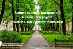 Защита зеленых насаждений в Санкт‑Петербурге: правила, разрешения и штрафы