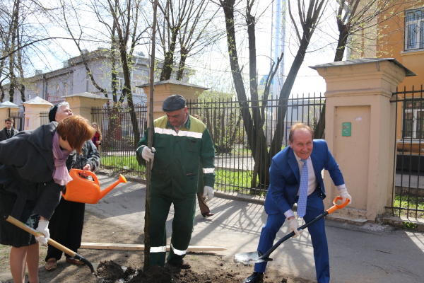 Аллея памяти в Северо-Западной академии государственной службы