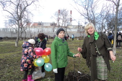 33 саженца яблони высадили школьники на Кронштадтской улице