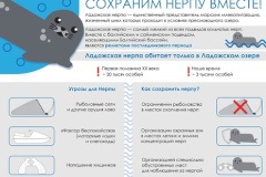 Победы ЦДЮТТ на Всероссийском конкурсе медиатворчества и программирования «24 bit»
