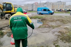 4,2 тонны опасных отходов собрали экологические службы за неделю