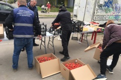 От незаконных объектов торговли освобождено около тридцати земельных участков