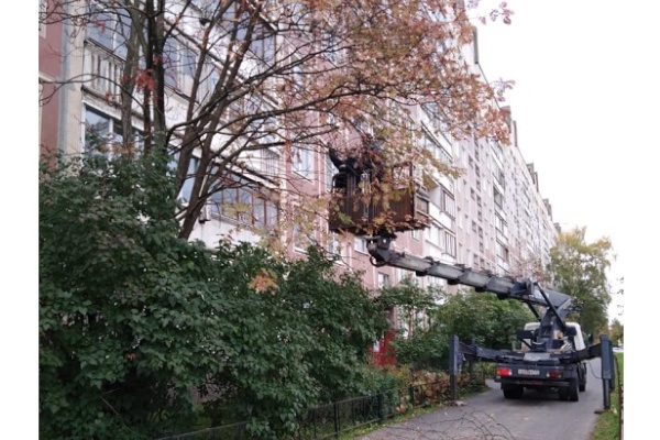 Стартовал месячник по благоустройству