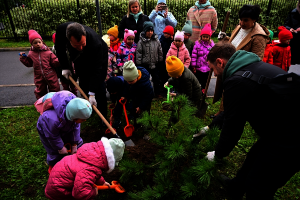 Врио главы администрации вместе с детьми детского сада "Петровский" высадил деревья!