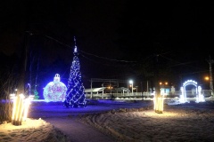 В поселке Комарово появились новогодние ландыши