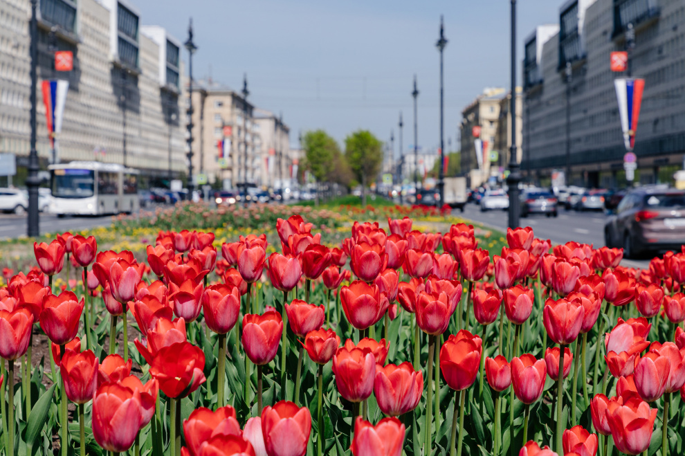 Решения на РБК+ Санкт-Петербург и область