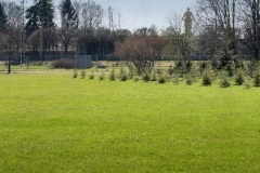 В Петербурге продолжается голосование за название сквера в честь участников СВО у Пискаревского мемориала