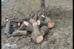 Садовники и дорожники оперативно устраняют последствия первого ветровала этой весны