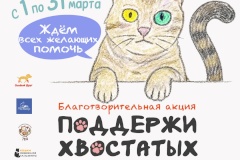 В Библиотеках Фрунзенского района стартовала ежегодная благотворительная акция «Поддержи хвостатых»