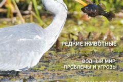 Водный мир Северной столицы в журнале «Окружающая среда Санкт‑Петербурга»