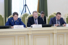 Меры противодействия правонарушениям в области экологии обсудили в Петербурге
