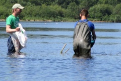 Специалисты ООПТ Санкт‑Петербурга ведут постоянный мониторинг территории