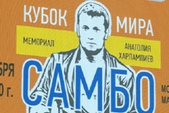 Петербургские самбисты – на пьедестале почета Кубка мира
