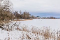На берегу Ижоры появится новое общественное пространство