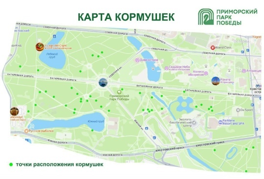 В Приморском парке Победы создали карту кормушек для животных