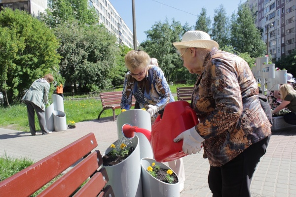 В муниципальном округе "Георгиевский" в "Международный день" соседей сажали бархатцы, бегонии и цинерарии