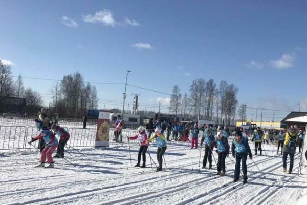 Около полутысячи жителей Фрунзенского района активно приняли участие в сдаче норм ГТО
