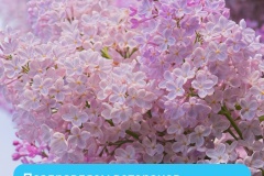 Администрация Петродворцового района поздравляет юбиляров мая