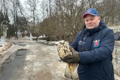 Возвращение в природу: на Елагином острове выпустили редких птиц