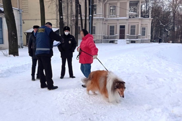 Уровень ответственности владельцев собак проверяли на Аптекарском острове. Не прошли мимо и других нарушений