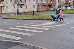 Обустроены новые пешеходные переходы в Петродворцовом районе