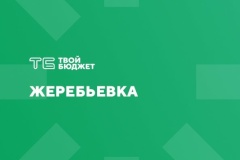 В Невском районе пройдет дожеребьевка в проект "Твой бюджет - 2021"